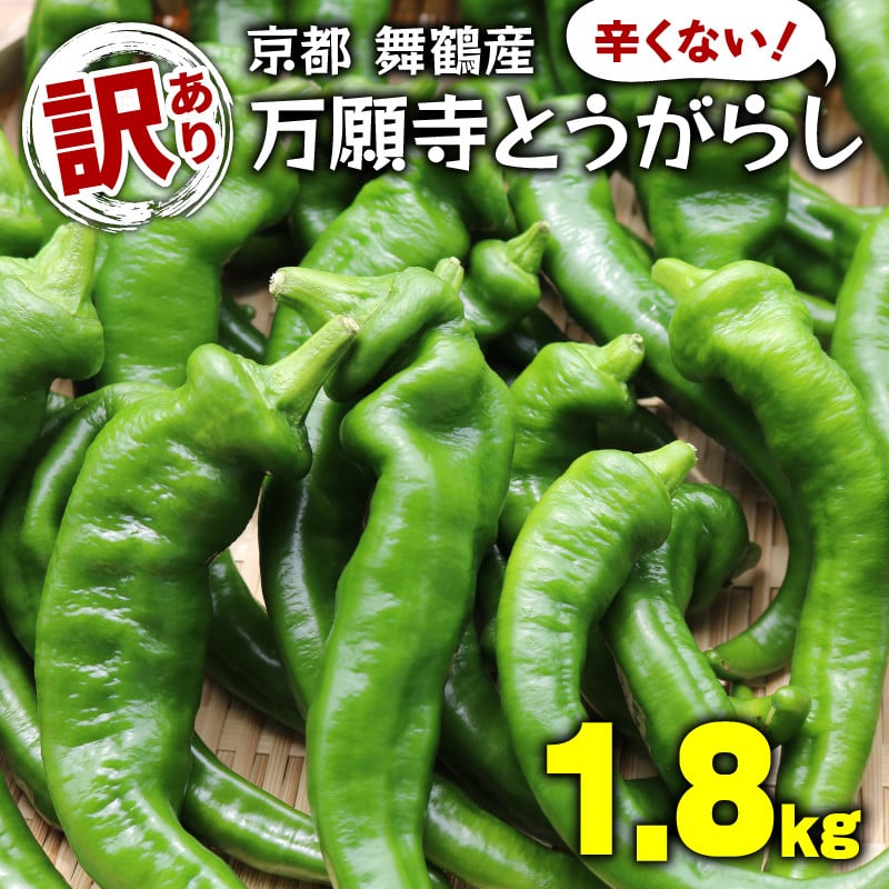 5月中旬～11月下旬発送】 【訳あり】 万願寺 とうがらし 1.8kg ( 900g × 2箱 ) 辛くない 美味しい おいしい 肉厚 甘い 旬  採れたて 箱入り 伝統野菜 バーベキュー BBQ 野菜 夏野菜 農家 産地 直送 揚げ物 炒め物 煮物 万願寺とうがらし 唐辛子 規格外