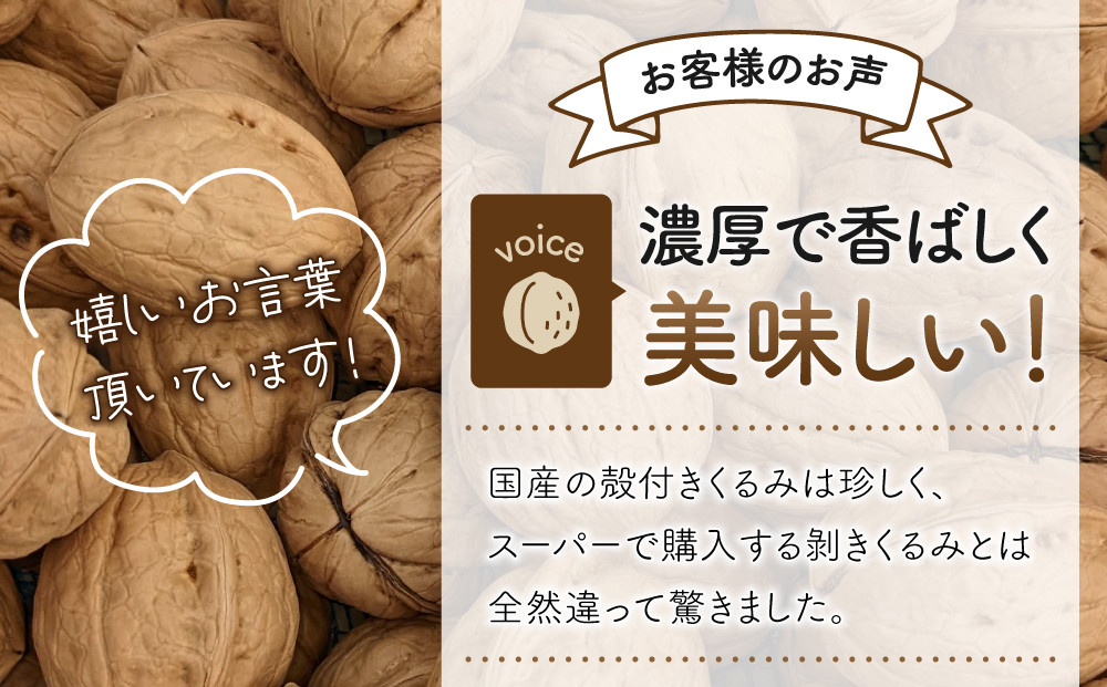 2024年産 長野県東御市産 信濃くるみ １kg（品種 清香 500g、品種 東晃 500g） - 長野県東御市｜ふるさとチョイス -  ふるさと納税サイト