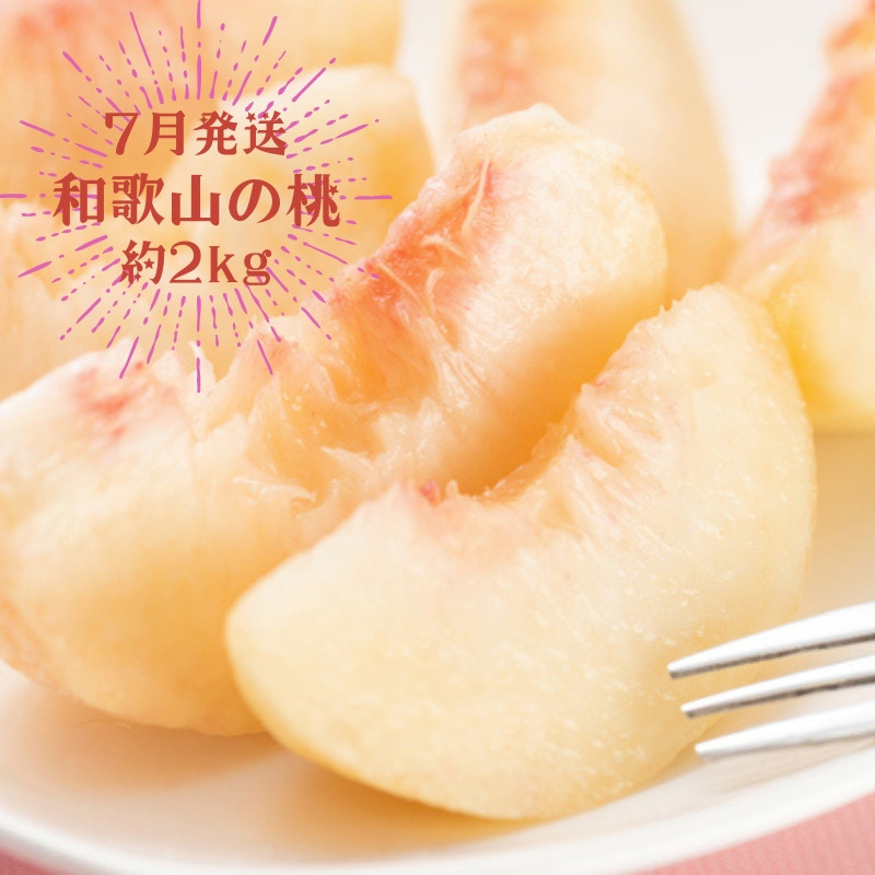 和歌山の桃　約2kg・秀選品 の詳細はこちら