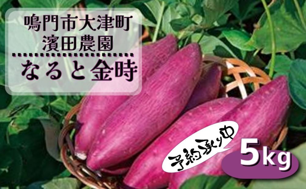 予約受付中・2024年12月頃より順次発送】【訳あり】濱田農園 なると金時 サイズ混合（不揃い） 約5kg【数量限定】さつまいも 鳴門金時 国産  天ぷら 煮物 スイーツ 焼き芋 干し芋 けんぴ - 徳島県鳴門市｜ふるさとチョイス - ふるさと納税サイト