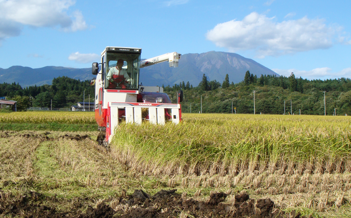 令和６年産＞雫石町産「あきたこまち」玄米10kg【農事組合法人ユニティファーム七区】/ 10キロ 秋田こまち 美味しい 地元からも人気 - 岩手県雫石町 ｜ふるさとチョイス - ふるさと納税サイト