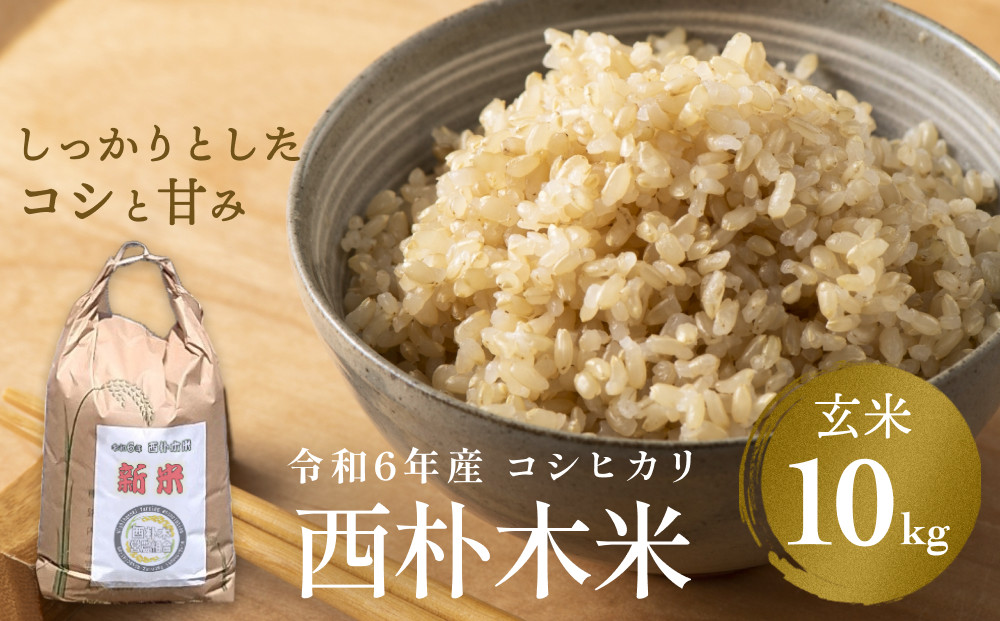 先行予約】【先行予約】令和6年産 西朴木米10kgコシヒカリ 玄米 富山県 氷見市 コシヒカリ 玄米 ＜2024年9月25日以降順次発送予定＞ - 富山 県氷見市｜ふるさとチョイス - ふるさと納税サイト