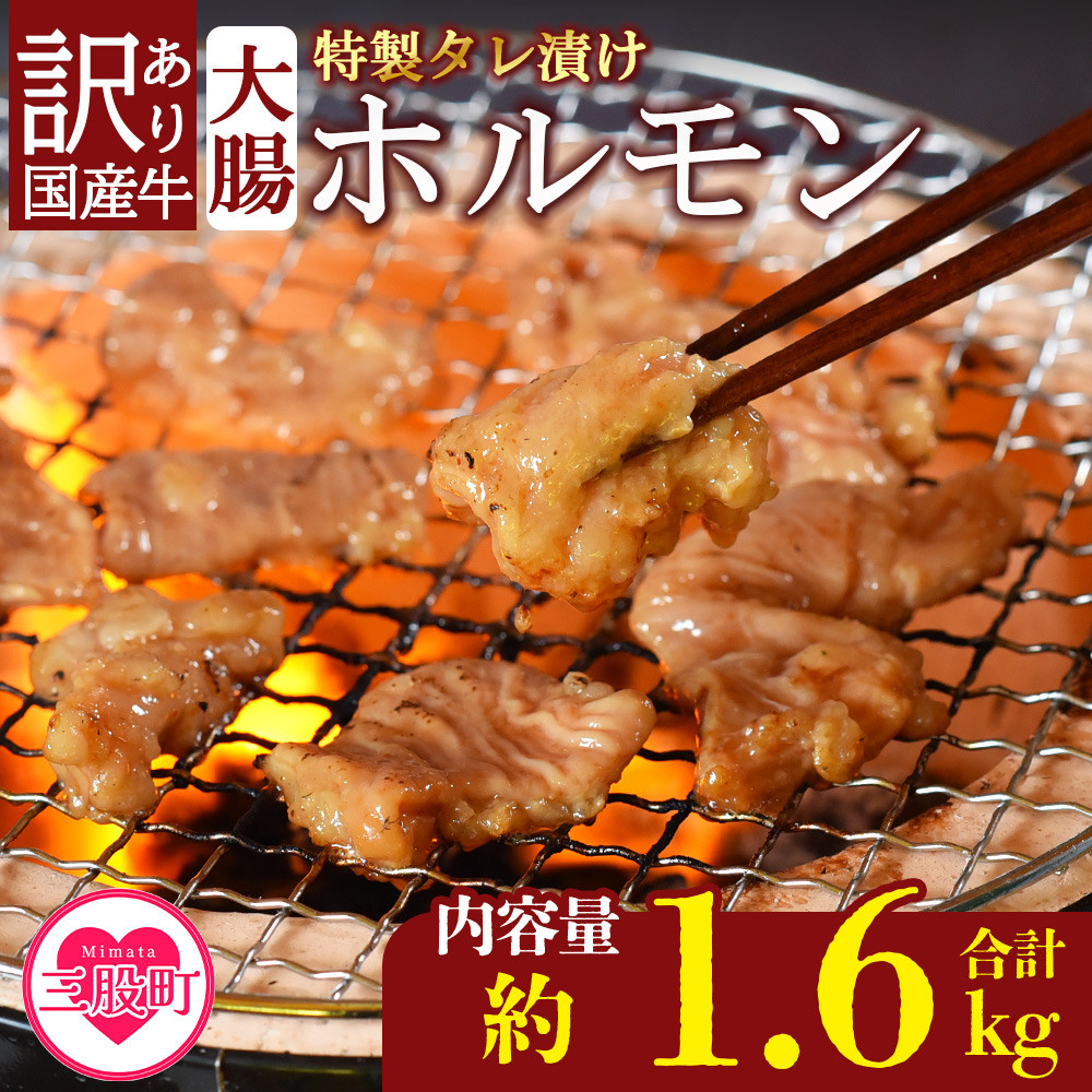 訳あり】国産牛ホルモン大腸（特製タレ漬け）計1.6kg(400g×4袋)＞大腸を秘伝の特製タレに漬け込みました！【MI024-nk-x1】【中村食肉】  宮崎県三股町｜ふるさとチョイス ふるさと納税サイト