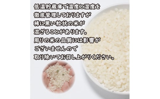 先行予約 新米 令和6年産 にじのきらめき 5kg 7000円 お米 白米 精米 低温 貯蔵庫 産地直送 国産 農家直送 期間限定 数量限定 特産品  先行 事前 予約 受付 令和6年度産 2024年産 新品種 大粒 もっちり 粘り 甘み おいしい おにぎり コシヒカリ に負けない