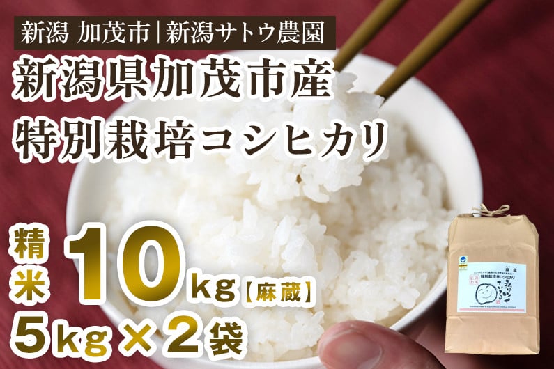 令和6年産新米先行予約】化学肥料不使用の従来コシヒカリ【麻蔵10kg】特別栽培 有機肥料で育った厳選米 加茂市 新潟サトウ農園 - 新潟県加茂市｜ふるさとチョイス  - ふるさと納税サイト