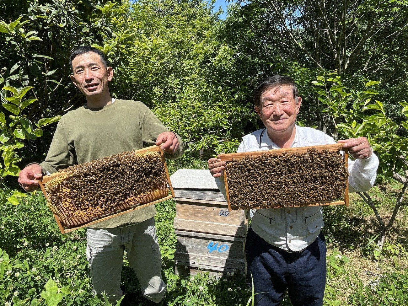 愛情を込めてミツバチを育てています