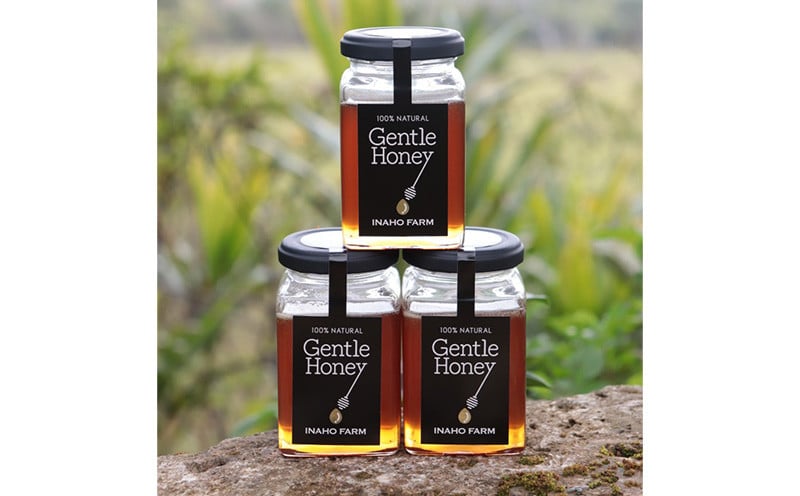 沖縄のやんばるで採れた非加熱はちみつ600g【Gentle Honey】 (200g×3個) 名護 なご 沖縄 おきなわ ハチミツ 県産 国産 自然  こだわり あまい 手作り 加工品 おいしい 美味しい はちみつ やんばる みつ 南国 まろやか 旨味 - 沖縄県名護市｜ふるさとチョイス - ふるさと  ...