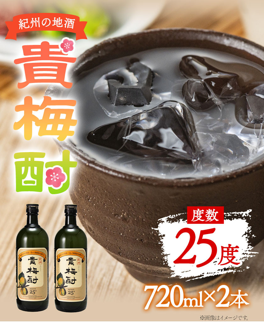 紀州の地酒 貴梅酎 きばいちゅう 25度 720ml×2本 エバグリーン 中野BC株式会社《30日以内に出荷予定(土日祝除く)》和歌山県 日高町 酒  お酒 地酒 梅焼酎 - 和歌山県日高町｜ふるさとチョイス - ふるさと納税サイト