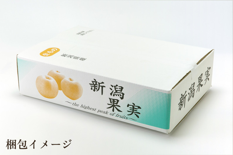 予約 9月19日必着] あきづき 秋月 和梨 約5kg 7-8玉 栃木県産他 ストア 敬老の日 まだ間に合う