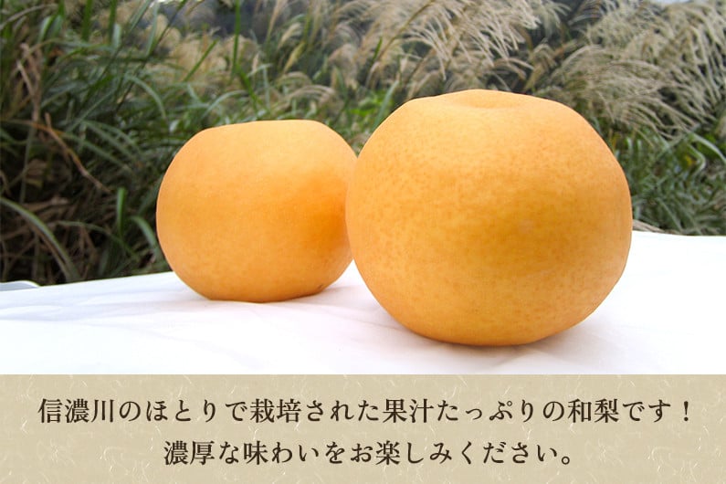 贈答用】和梨 あきづき 3kg（5〜8玉）《9月中旬から順次発送》 果物 なし 梨 フルーツ 新鮮 産地 加茂市 まるさん金子果樹園 - 新潟県加茂市｜ふるさとチョイス  - ふるさと納税サイト