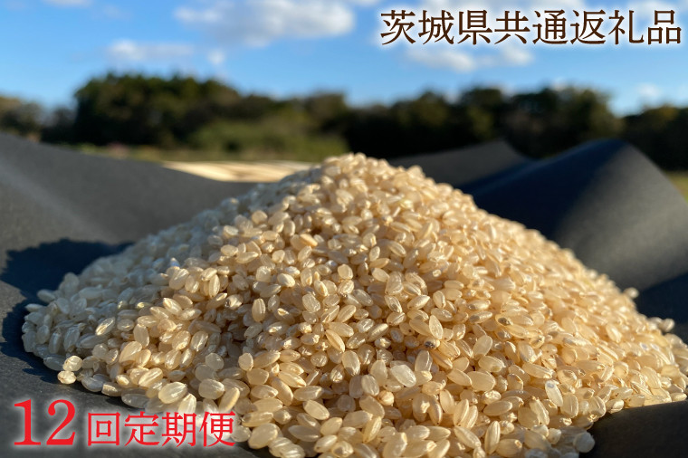 12ヶ月定期便】【栽培期間農薬不使用】マキタ超こしひかり 玄米5kg×12回【茨城県共通返礼品・行方市産】【おいしい お米 マキタ 減農薬 安心 鹿嶋市】（KBE-45）  - 茨城県鹿嶋市｜ふるさとチョイス - ふるさと納税サイト