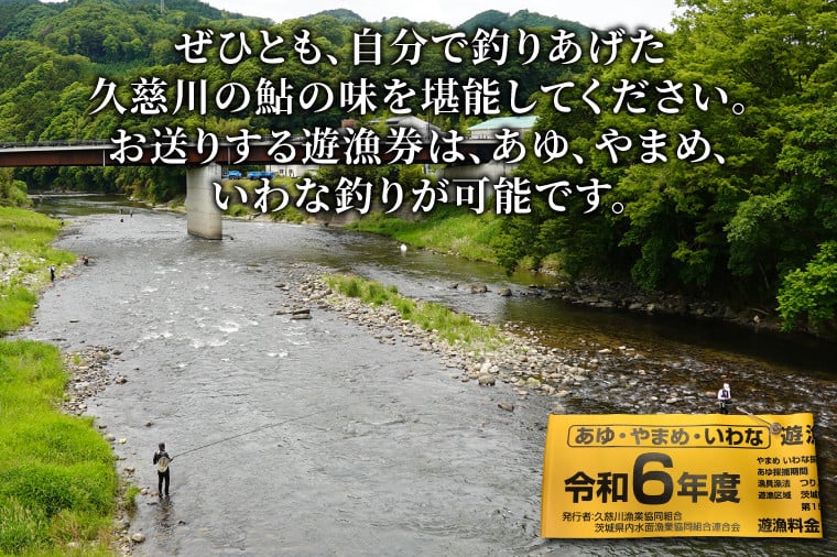 茨城県 久慈川 鮎釣り 1年券 入漁券 鮎 アユ あゆ 大子町（AV004） - 茨城県大子町｜ふるさとチョイス - ふるさと納税サイト