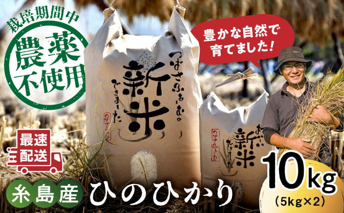 令和6年産新米】糸島産 雷山 のふもと 栽培期間中 農薬不使用 の 米 10kg（5kg×2）ひのひかり 【2024年10月下旬以降順次発送】ヒノヒカリ  糸島市 / ツバサファーム[ANI002] 24000円 2万4千円 常温 - 福岡県糸島市｜ふるさとチョイス - ふるさと納税サイト