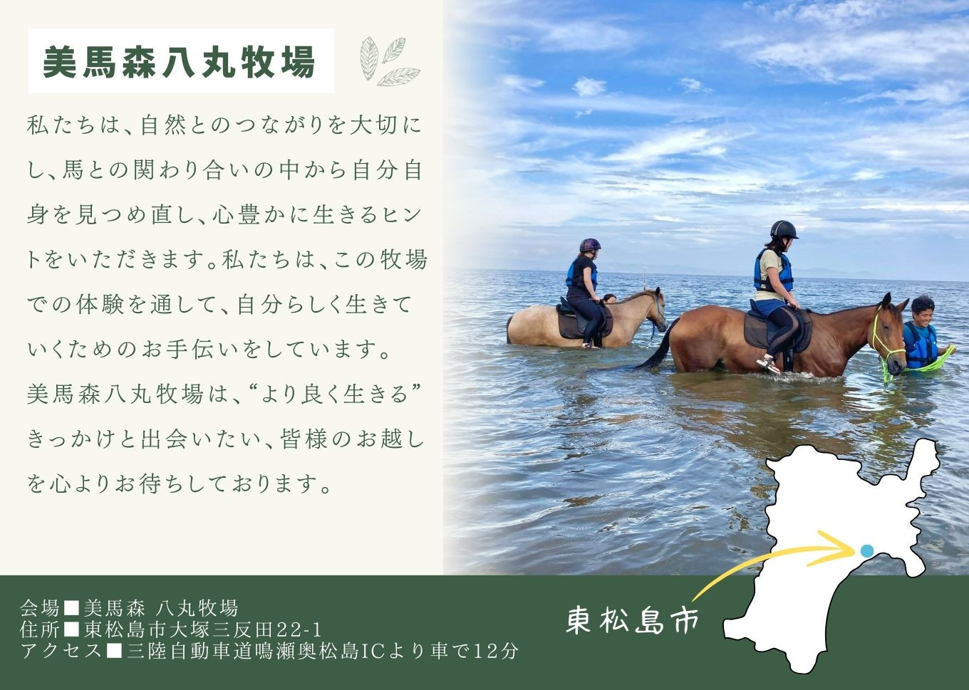 海での乗馬体験 ～ 初心者向け ～ オーシャンライディング ペア チケット 乗馬 初心者向け 体験 海中乗馬 アクティビティ レジャー 夏休み 旅行  馬 ふれあい ペア八丸牧場 宮城県 東松島市 オンラインワンストップ 申請 自治体マイページ