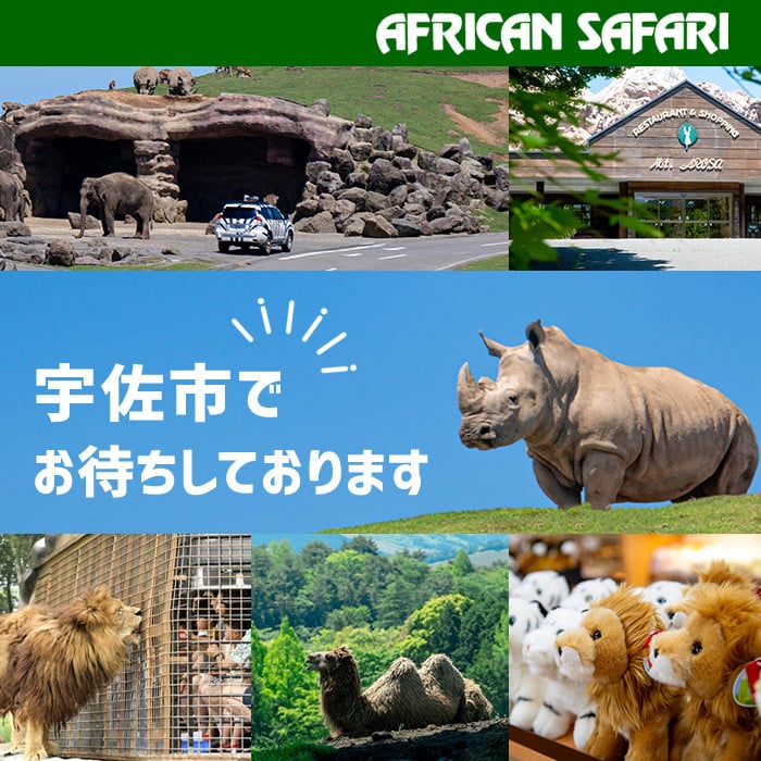 セット内容が選べる！＞アフリカンサファリ入園券とオリジナルクリアファイルのセット(入園券(大人・小人)とクリアファイル)チケット 動物園  サファリパーク形動物園 家族旅行 デート 観光【110600200】【九州アフリカ・ライオン・サファリ】 - 大分県宇佐市｜ふるさと ...