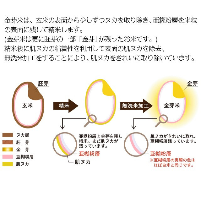 うまみ層であると胚芽を残して美味しく精米！