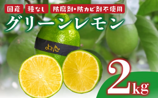 種なし 防腐剤・防カビ剤不使用！こだわりのグリーンレモンです‼