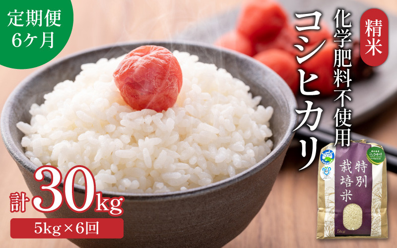 先行予約】【令和6年産】【定期便6回】 化学肥料不使用コシヒカリ 精米 5kg×6回（計30kg） / 白米 米 福井県あわら市産 美味しい  特別栽培米 減農薬 安心な米 旨味 甘み もっちり エコファーマー こしひかり 冷蔵保管米 新米 ※2024年9月中旬より順次発送 - 福井県あわら市  ...