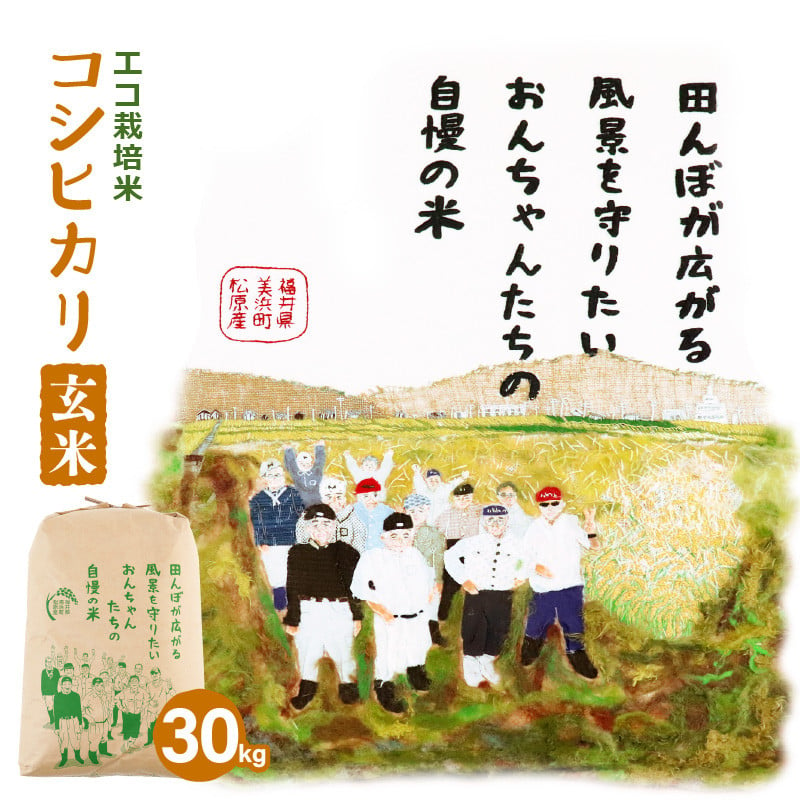 令和6年産・新米】コシヒカリ（玄米）エコ栽培米 30kg（30kg×1袋） [m26-c002] - 福井県美浜町｜ふるさとチョイス -  ふるさと納税サイト