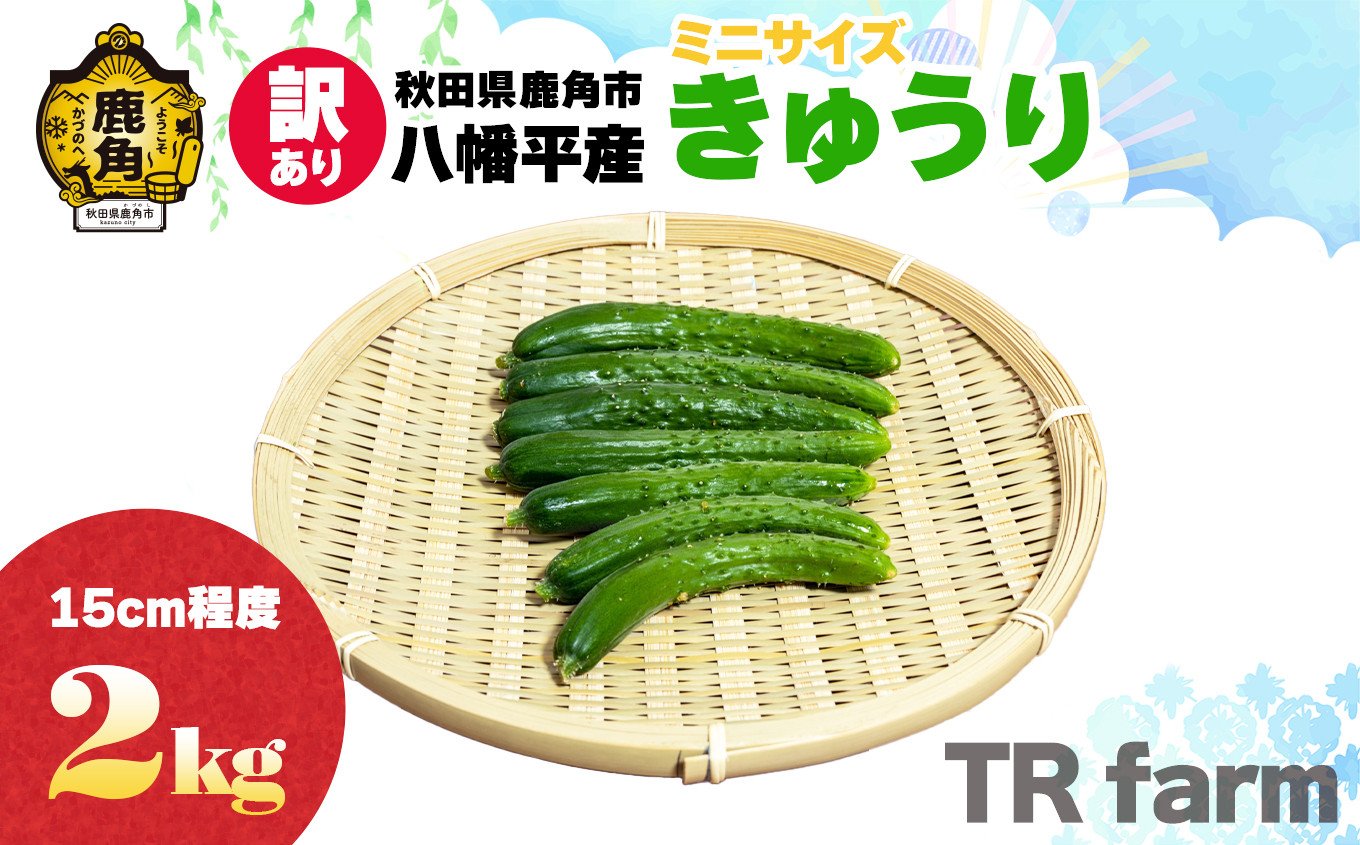 秋田県鹿角市八幡平産 小さめきゅうり 2kg【TR farm】 お得 徳用 規格外 キュウリ 野菜 夏野菜 新鮮 旬 食べ頃 詰め合わせ お中元  お取り寄せ グルメ ギフト 人気 おすすめ 秋田 鹿角市 送料無料 - 秋田県鹿角市｜ふるさとチョイス - ふるさと納税サイト