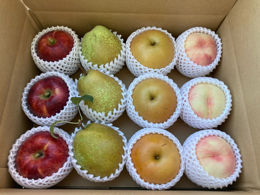 何が届くかお楽しみ