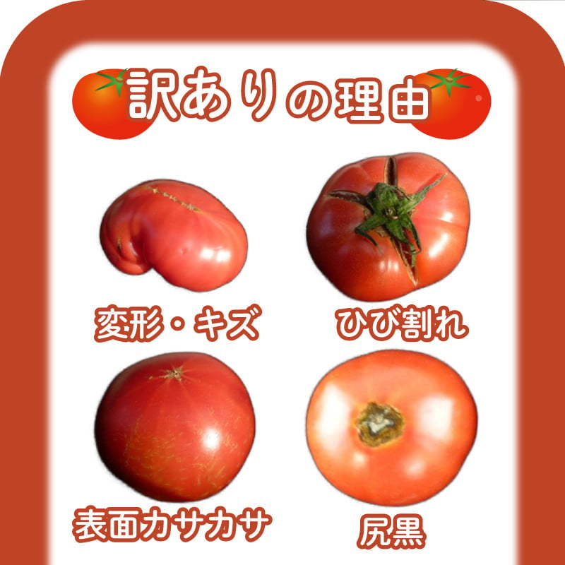 先行予約 】 トマト 大玉 訳あり 1~2kg 野菜 産地直送 お試し 選べる 容量 予約受付 高糖度 リコピン ビタミンC 美容 ご自宅用 ご家庭用  栄養 甘い おいしい お弁当 夕飯 サラダ おかず 先行受付 下関 山口 【 2025年4月以降の発送 】【