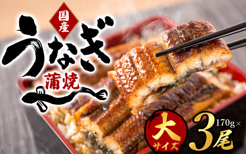 国産うなぎ蒲焼きの詳細はこちら！