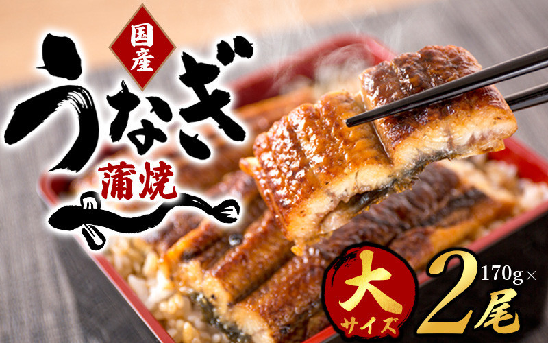 国産うなぎ蒲焼きの詳細はこちら！
