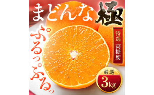 夕やけブランド＞ぷるぷる食感＜まどんな＞3kg ※紅まどんなと同品種 ＜C49-22＞_ マドンナ みかん ミカン 愛媛県 国産 フルーツ 果物  くだもの 柑橘 かんきつ ギフト 贈答 人気 限定 産地直送 産直 ジューシー 甘い 果汁 糖度 大玉 極 特選 【1416588】 - 愛媛県八幡浜市  ...