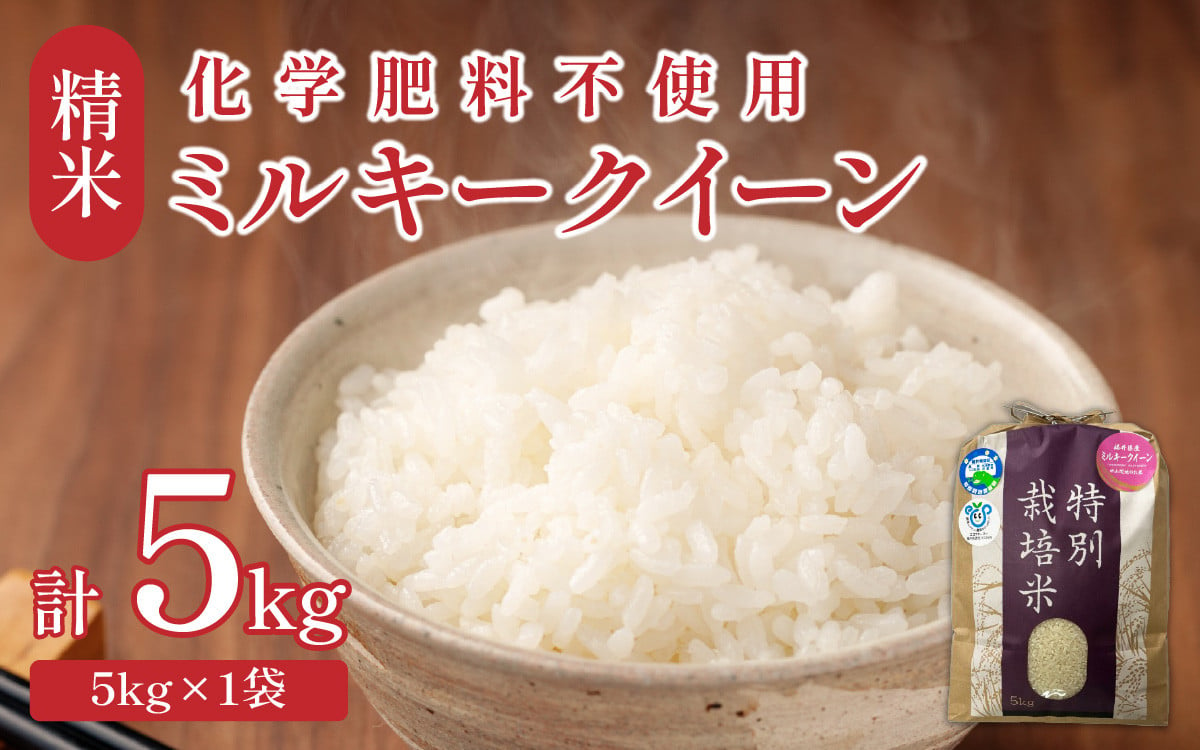 令和6年産】 化学肥料不使用ミルキークイーン 精米5kg（5kg×1袋） / 白米 米 福井県あわら市産 美味しい 特別栽培米 安心な米 旨味 甘み  もっちり エコファーマー 冷蔵保管米 冷めても美味しい 新米 - 福井県あわら市｜ふるさとチョイス - ふるさと納税サイト