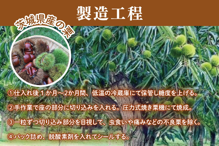 先行予約】【11月より順次発送】茨城県産 くりやの焼き栗 250g×5袋【くり 栗 焼き栗 秋 茨城県産 果物 果樹 栗ご飯 水戸市】（AO-2） -  茨城県水戸市｜ふるさとチョイス - ふるさと納税サイト