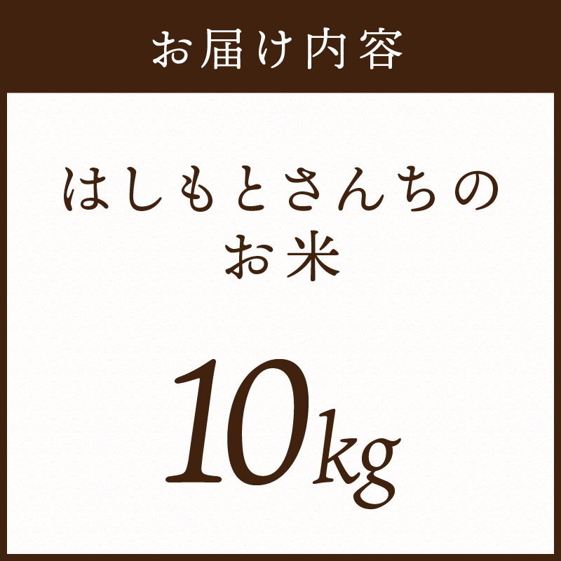 令和6年産 2024年11月より順次発送】はしもとさんちのお米(10kg)《米 ヒノヒカリ ひのひかり おこめ 国産 送料無料  》【2401B14304】 - 兵庫県加古川市｜ふるさとチョイス - ふるさと納税サイト