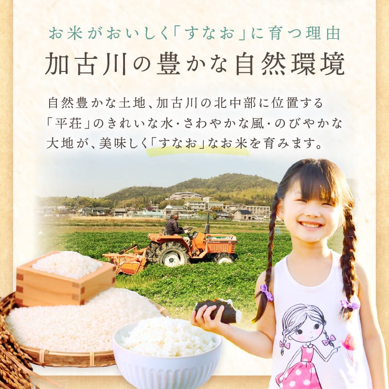 令和6年産 2024年11月より順次発送】はしもとさんちのお米(10kg)《米 ヒノヒカリ ひのひかり おこめ 国産 送料無料  》【2401B14304】 - 兵庫県加古川市｜ふるさとチョイス - ふるさと納税サイト