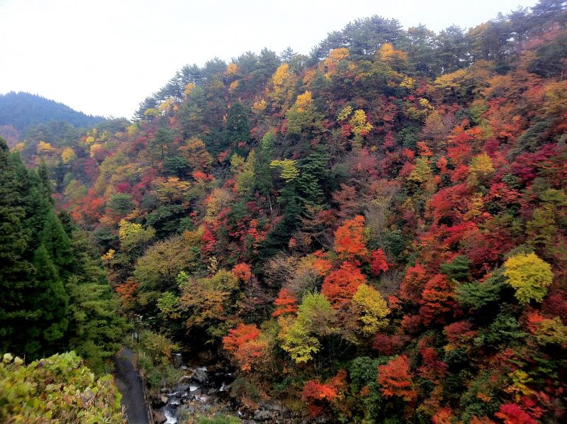 三室峡の紅葉
