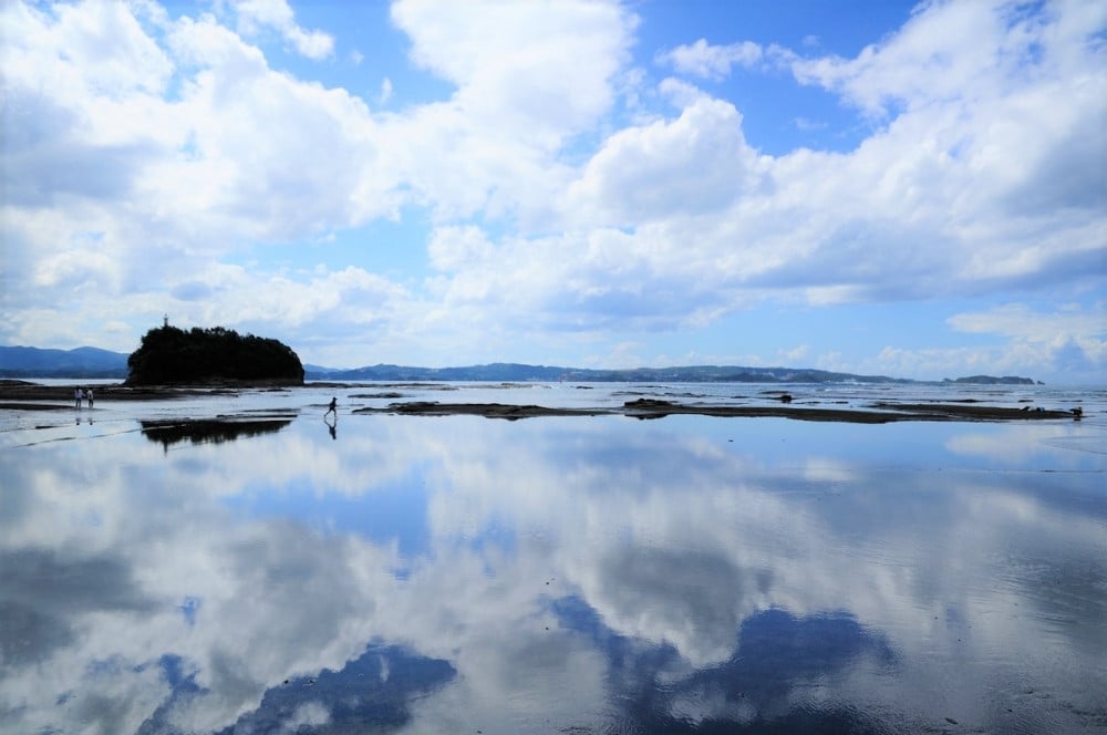 写真