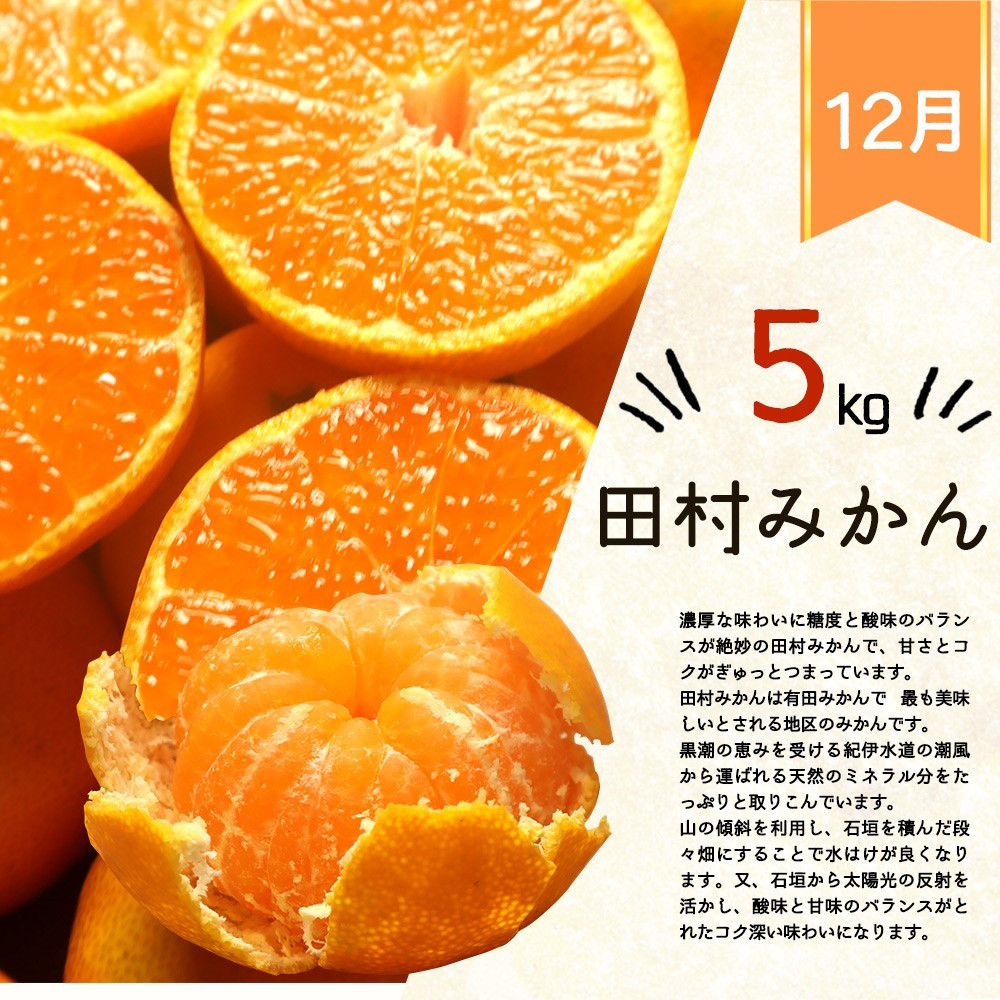 田村みかん 5kg の詳細はこちら