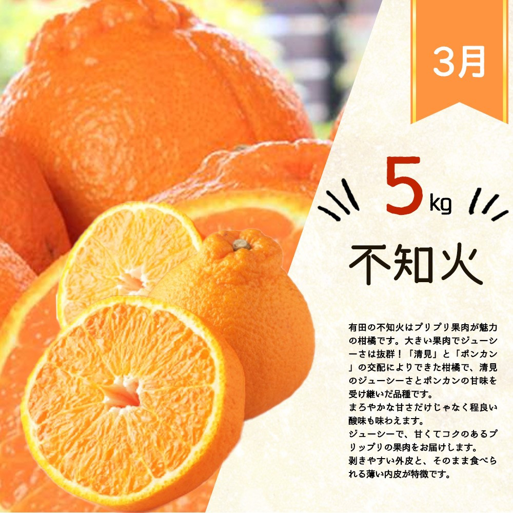 紀州有田産不知火(しらぬひ) 約5kg