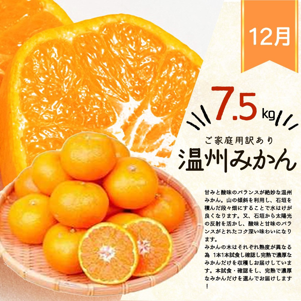 【ご家庭用訳あり】紀州有田産温州みかん 7.5kg