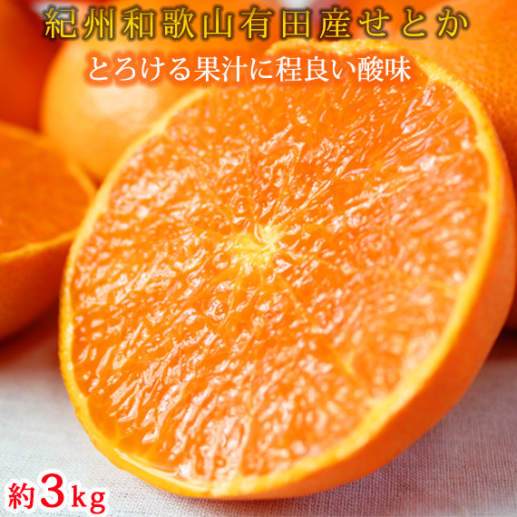 詳細はこちら