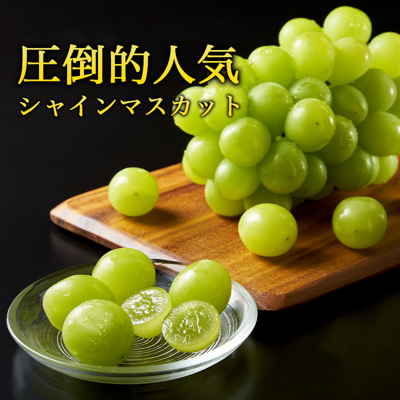 山形県産》 新鮮 シャインマスカット 2kg(2房 - 5房) 【2025年 山形県産》 新鮮 シャインマスカット 2kg(2房 - 5房) 【2025年