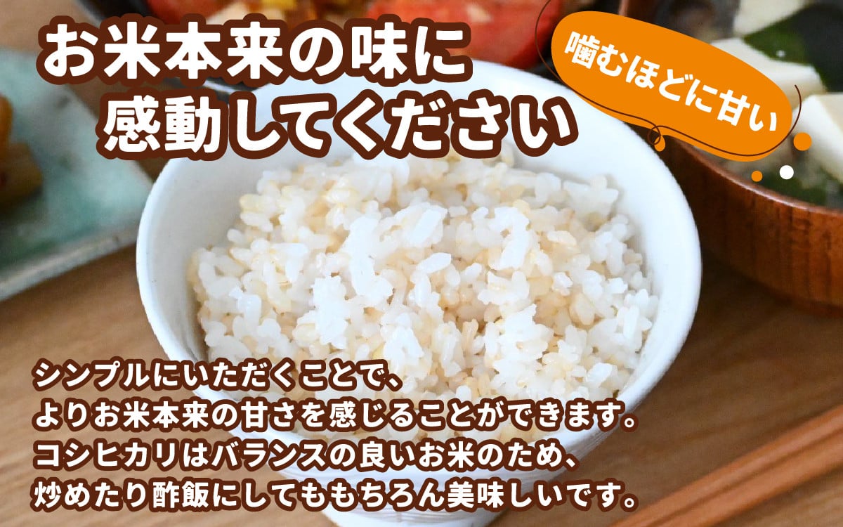 先行予約】【令和6年産 新米】純ちゃん農園のコシヒカリ玄米5kg【農家直送】 - 福井県大野市｜ふるさとチョイス - ふるさと納税サイト