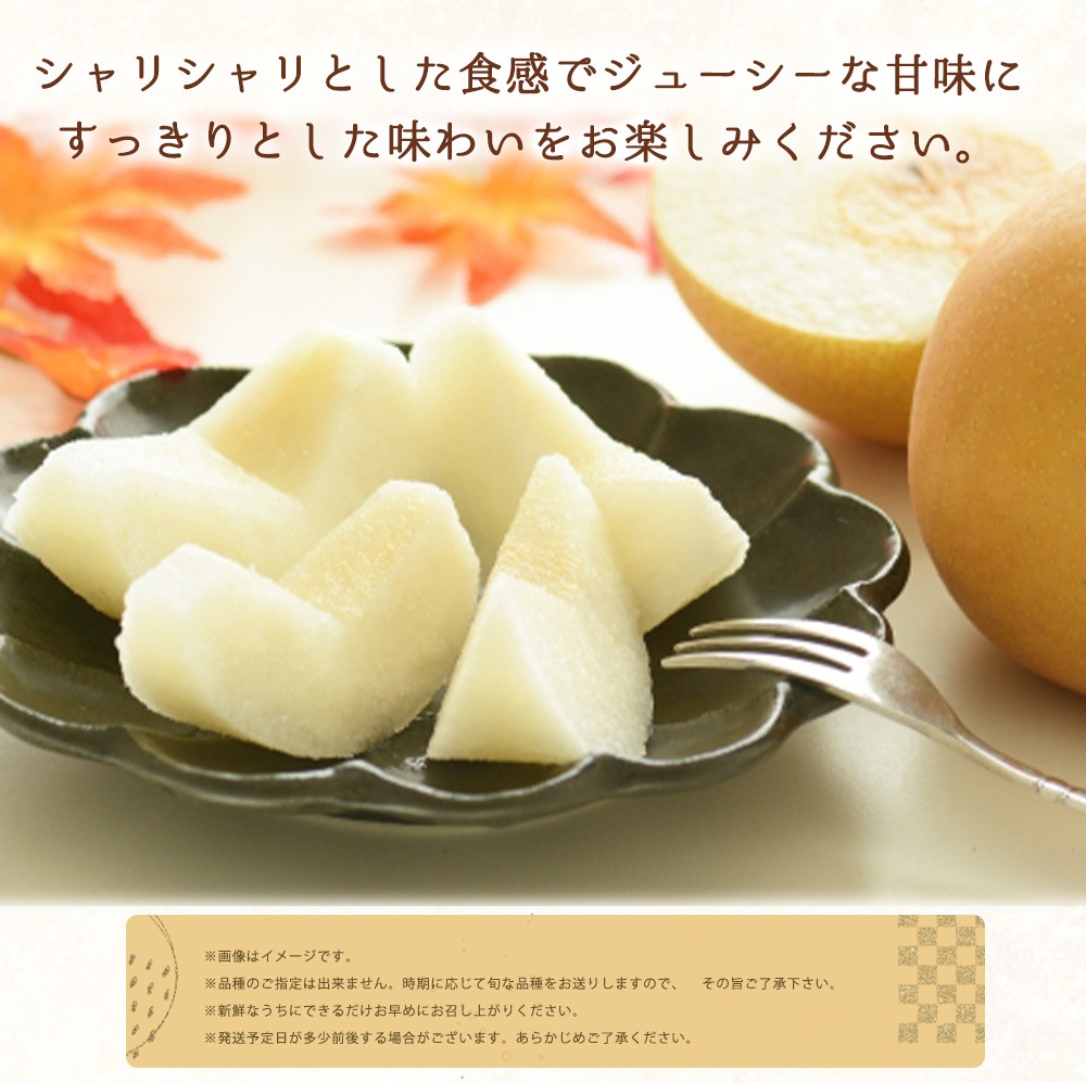 紀州和歌山産の梨 2kg の詳細はこちら