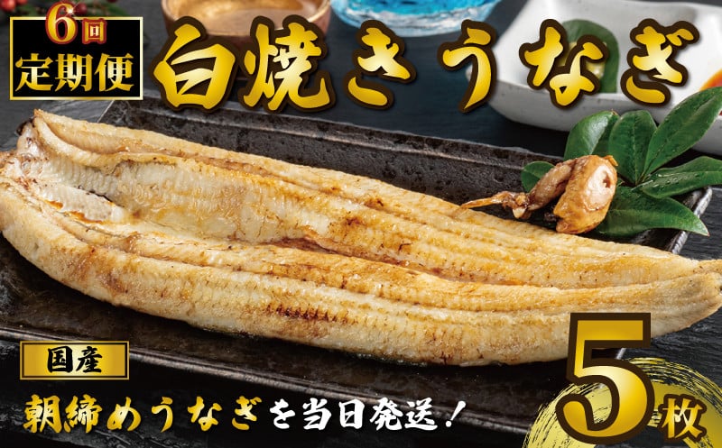 国産うなぎ 白焼き 5枚 1尾約120g 定期便6回 うなぎ 鰻 白焼き 蒲焼 うな重 鰻丼 うな丼 ひつまぶし 土用の丑の日 土用丑 魚 海鮮  魚介類 肉 肝 レバー 冷蔵 おつまみ おかず 惣菜 酒 ビール 焼酎 日本酒 ウイスキー チューハイ お取り寄せ