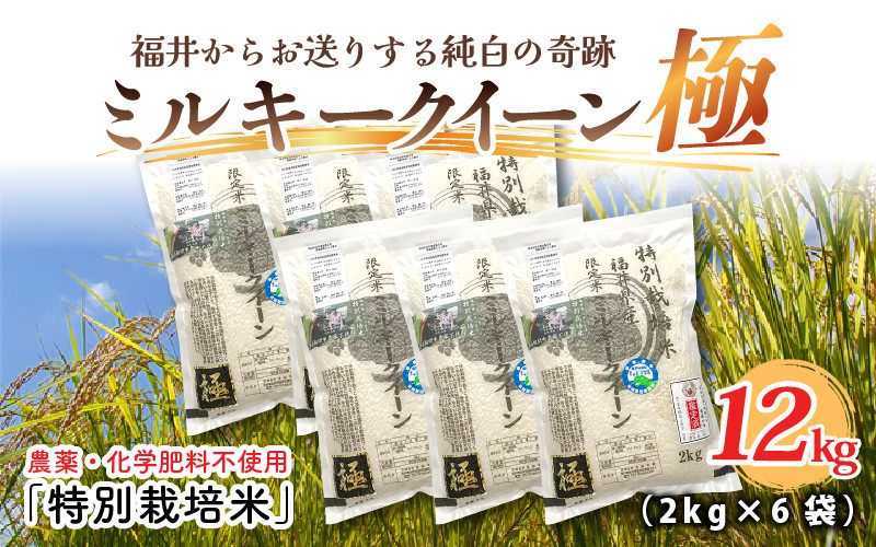 令和6年産・新米】お米の女王！農薬・化学肥料不使用 特別栽培米 ミルキークイーン極12kg (2kg × 6袋) [E-2917] - 福井県坂井市｜ふるさとチョイス  - ふるさと納税サイト