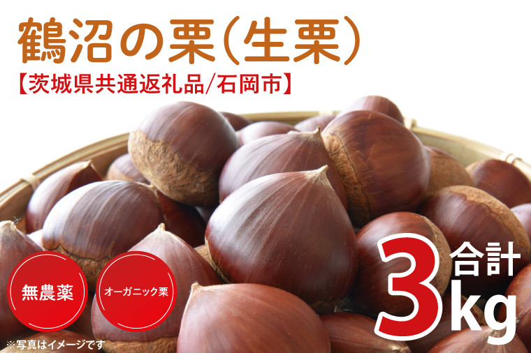 1.6キロ 茨城県産栗 無農薬 笠間の栗 くさ