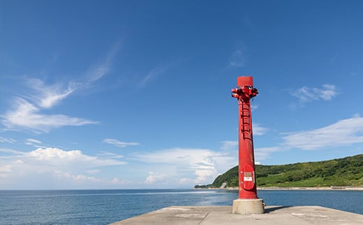 KAMOME SLOW HOTEL 平日限定ペア宿泊券 - 兵庫県淡路市｜ふるさとチョイス - ふるさと納税サイト