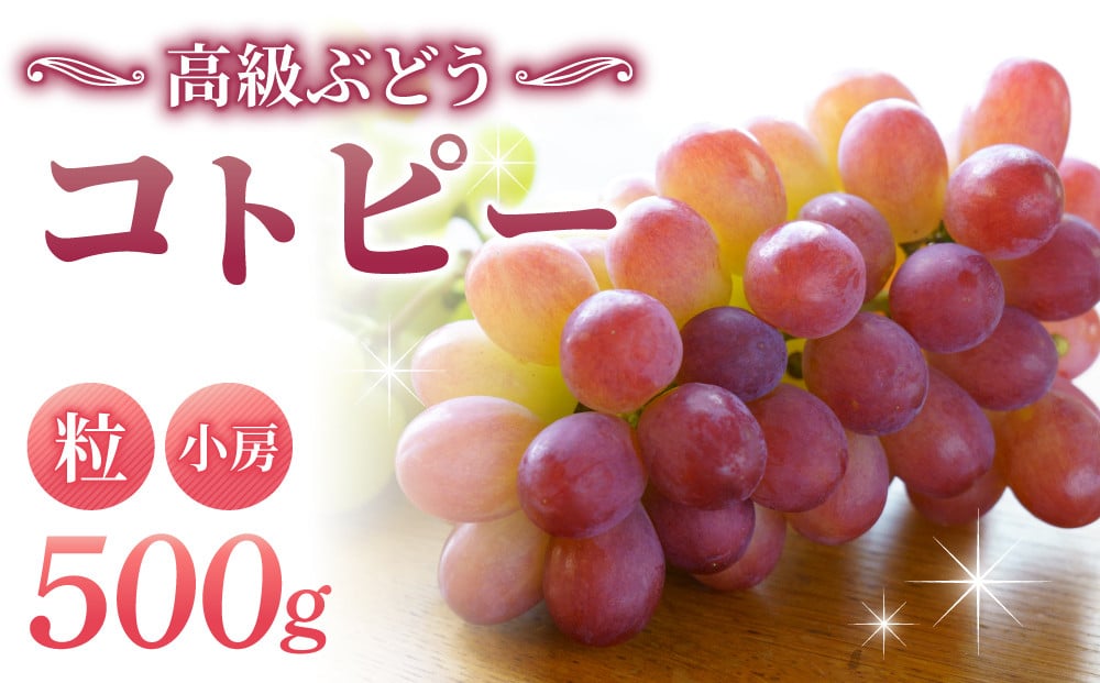 草生栽培】コトピー 500g （粒など）｜甘くて美味しい高級ぶどう 希少種 - 長野県東御市｜ふるさとチョイス - ふるさと納税サイト