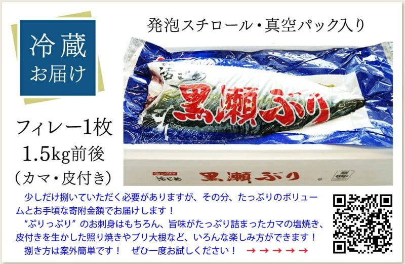 黒瀬ぶりフィレーがボリュームアップ！＆お手頃に！寄付額16,000円