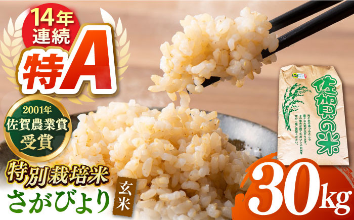 先行予約】【特別栽培米】令和6年産 新米 ももちゃんちのお米 さがびより 玄米 30kg 【ももさき農産】 [HCG001] - 佐賀県江北町｜ふるさとチョイス  - ふるさと納税サイト