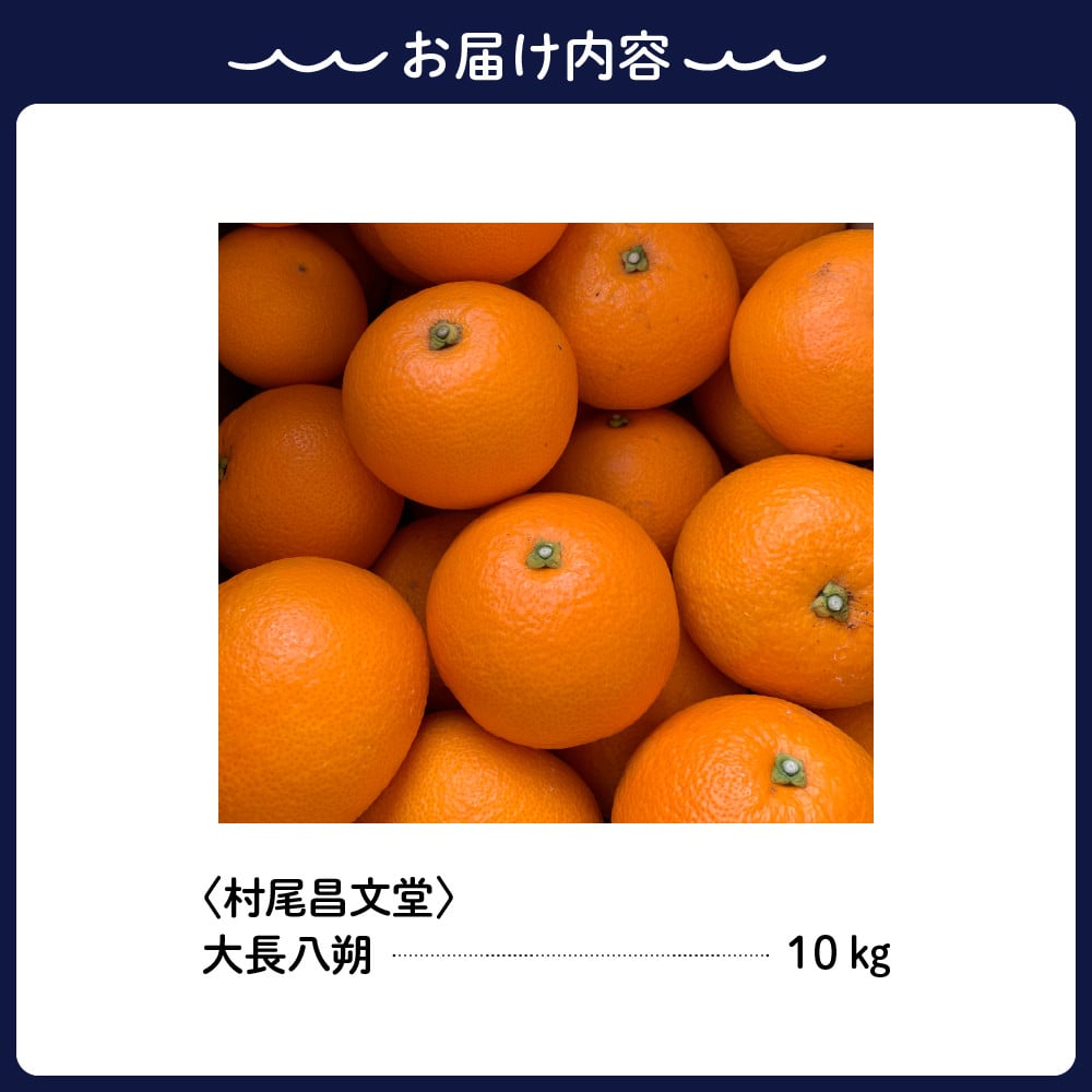 先行受付】瀬戸内 大崎下島産 大長八朔 10kg はっさく 八朔 みかん ミカン 柑橘 果物 フルーツ 甘い ジューシー 先行 受付 予約 お取り寄せ  常温配送 送料無料 瀬戸内 広島県 呉市 先行予約 - 広島県呉市｜ふるさとチョイス - ふるさと納税サイト